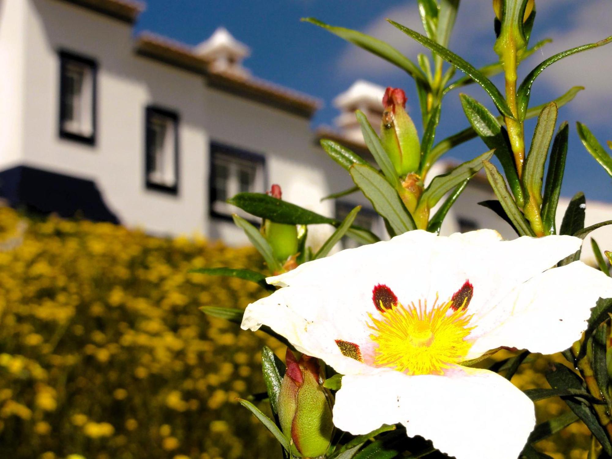 Monte Do Alento - Castro Da Cola Guest House Alcaria  ภายนอก รูปภาพ