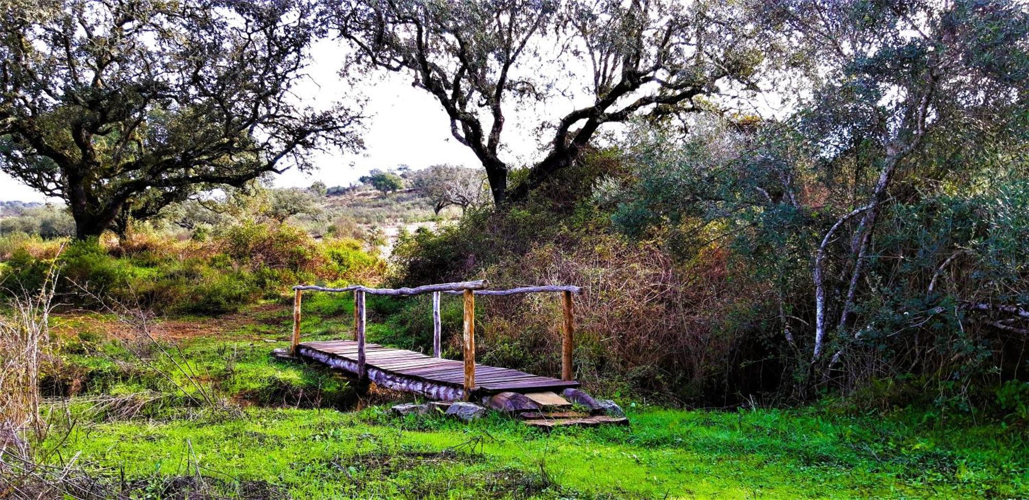 Monte Do Alento - Castro Da Cola Guest House Alcaria  ภายนอก รูปภาพ